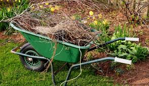 Yard Cleanup