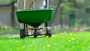 Fertilizing