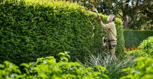 Hedging