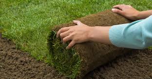 Sod Installation